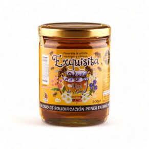 Miel Artesanal Exquisita 500gr